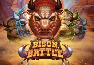 Bison Battle